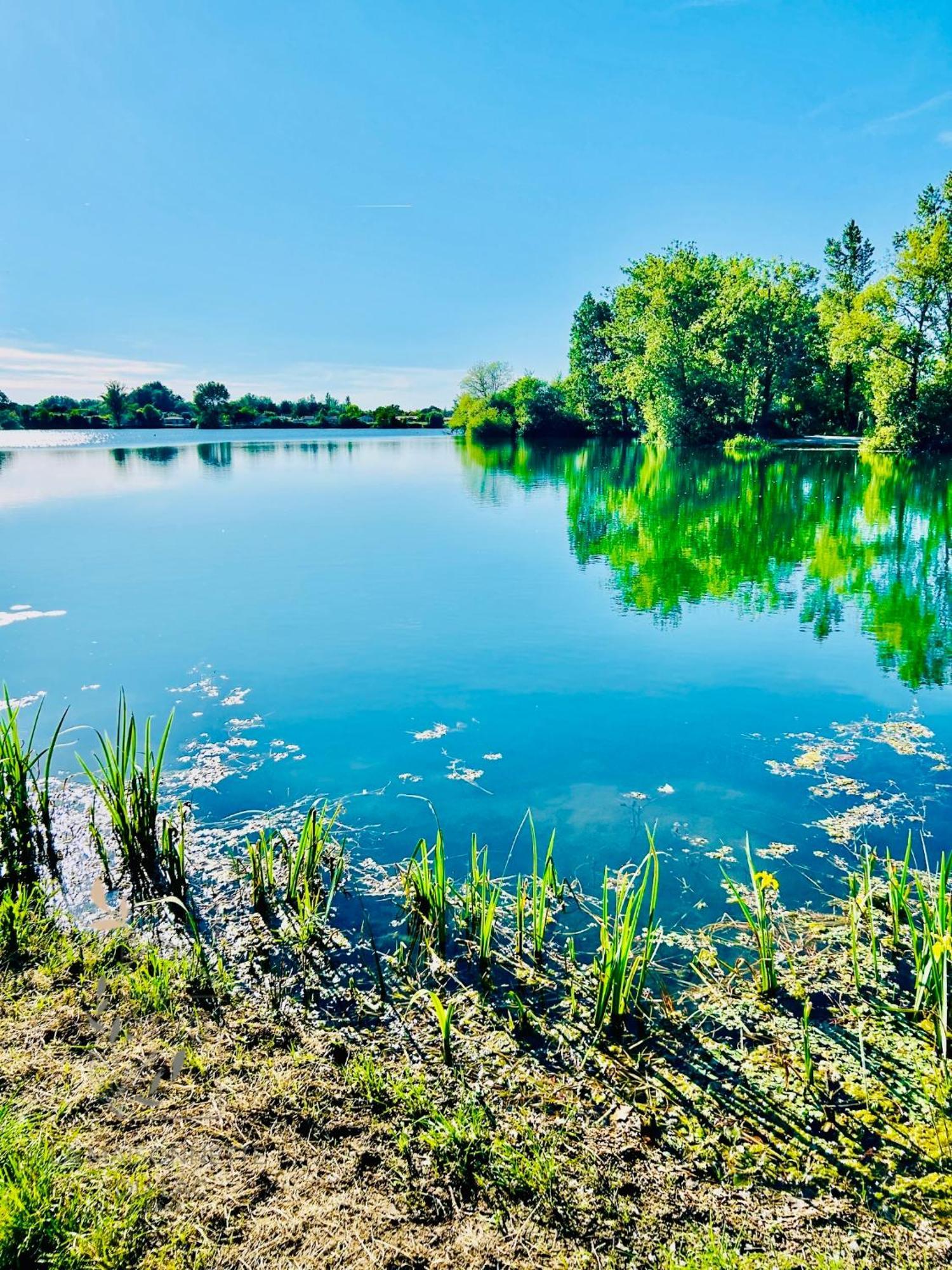 Izon Maison Avec Acces Au Lac מראה חיצוני תמונה